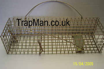 pro gold squirrel trap
