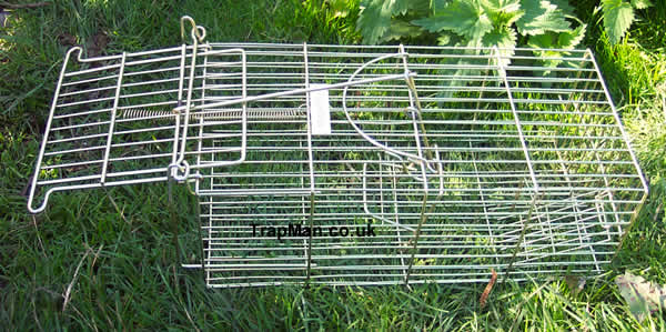 Family Rat Trap  set