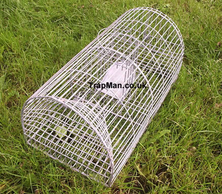 monarch rat trap