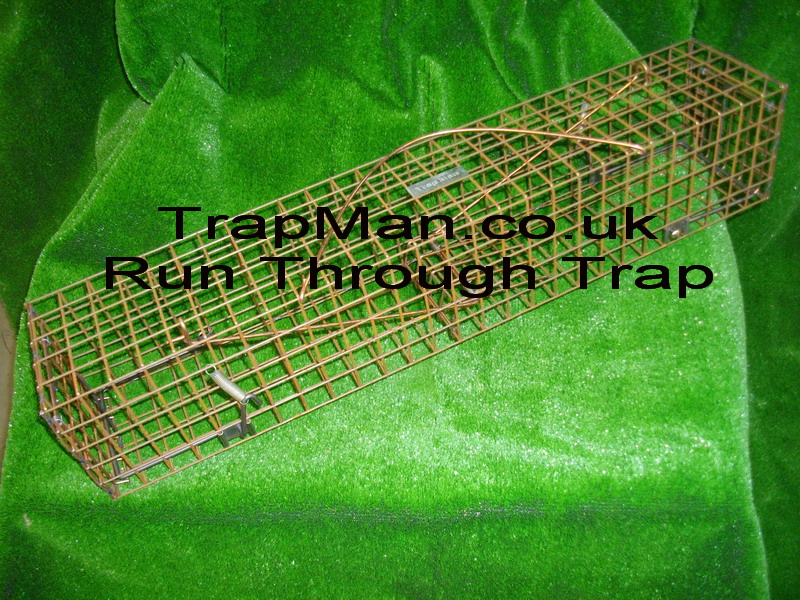 pro gold squirrel trap, the squirrel trap that's just that bit better than  the other squirrel traps